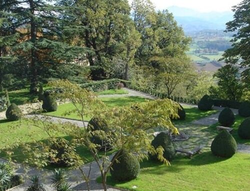 21 maggio 2023 – Giornata ADSI