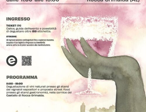 Il Plebiscito dei vini